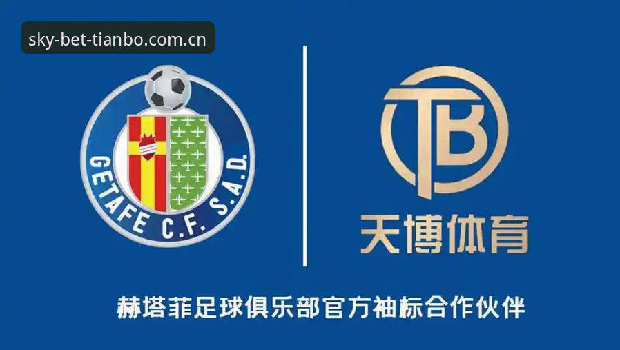 天博体育平台2026网页入口实用指南：一个老用户的亲自体验与常见问题解答